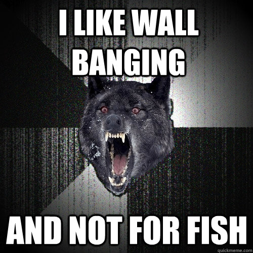 i like wall banging and not for fish  Insanity Wolf