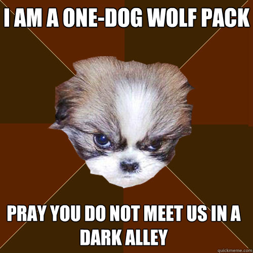 i am a one-dog wolf pack pray you do not meet us in a dark alley  