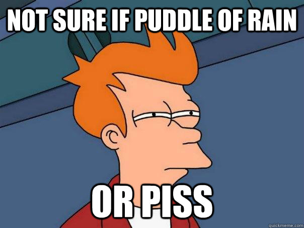 Not sure if puddle of rain Or piss - Not sure if puddle of rain Or piss  Futurama Fry