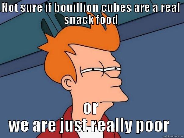 NOT SURE IF BOUILLION CUBES ARE A REAL SNACK FOOD OR WE ARE JUST REALLY POOR  Futurama Fry