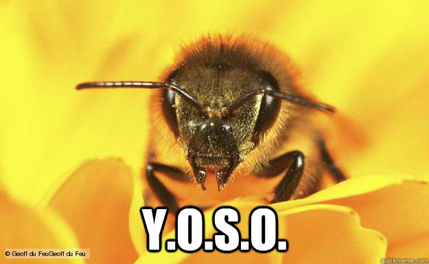  Y.O.S.O.  bEES