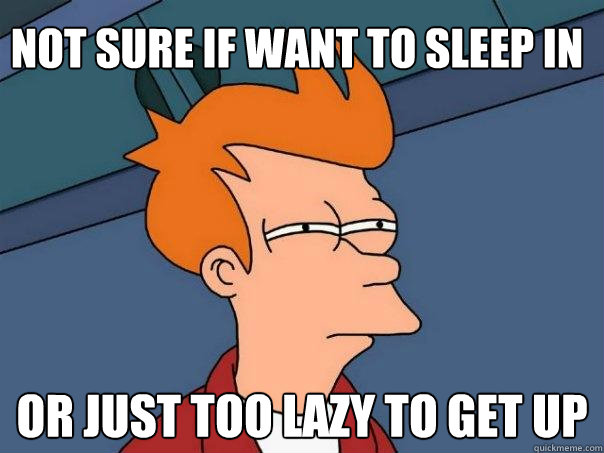 not sure if want to sleep in  or just too lazy to get up  Futurama Fry