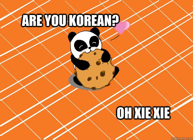 Are you korean? OH XIE XIE - Are you korean? OH XIE XIE  Panda Bear eating Cookie