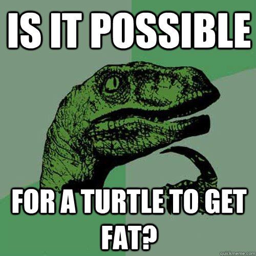 Is it possible for a turtle to get fat?  Philosoraptor