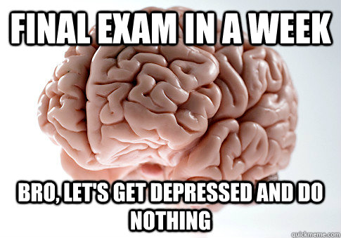 FINAL EXAM IN A WEEK BRO, LET'S GET DEPRESSED AND DO NOTHING - FINAL EXAM IN A WEEK BRO, LET'S GET DEPRESSED AND DO NOTHING  Scumbag Brain