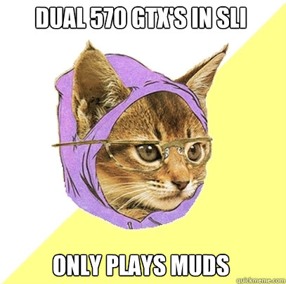 Dual 570 GTX's in SLI Only plays muds  Hipster Kitty