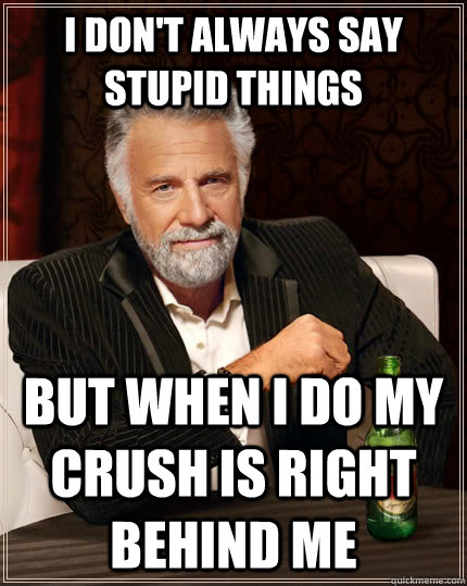 I don't always say stupid things But when I do my crush is right behind me  The Most Interesting Man In The World