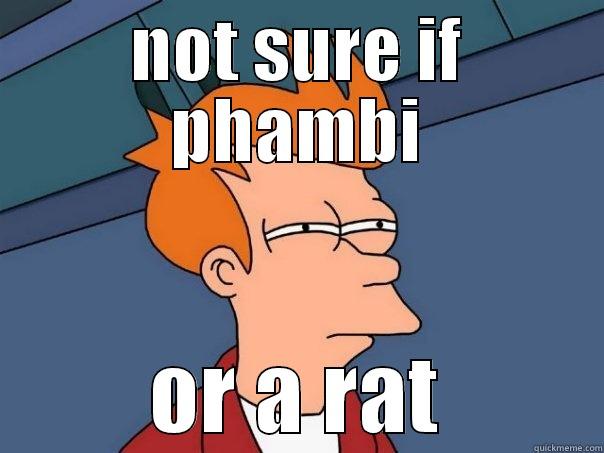 NOT SURE IF PHAMBI OR A RAT Futurama Fry