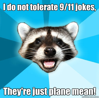 I do not tolerate 9/11 jokes, They're just plane mean! - I do not tolerate 9/11 jokes, They're just plane mean!  Lame Pun Coon