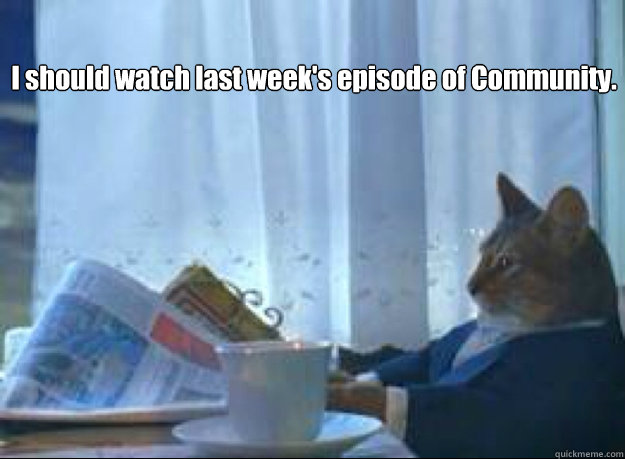 I should watch last week's episode of Community.  I should buy a boat cat