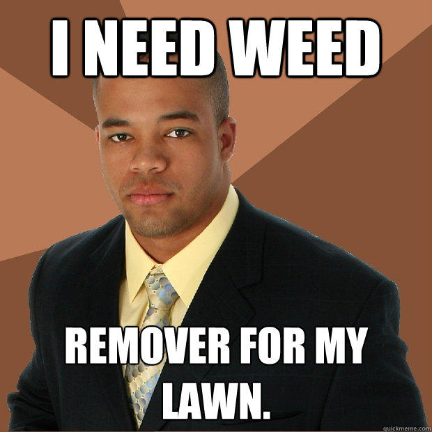 i need weed remover for my lawn.  