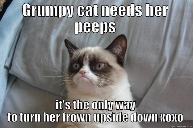 GRUMPY CAT NEEDS HER PEEPS IT'S THE ONLY WAY TO TURN HER FROWN UPSIDE DOWN XOXO Grumpy Cat