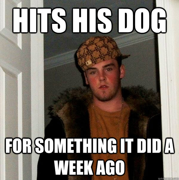 hits his dog for something it did a week ago - hits his dog for something it did a week ago  Scumbag Steve