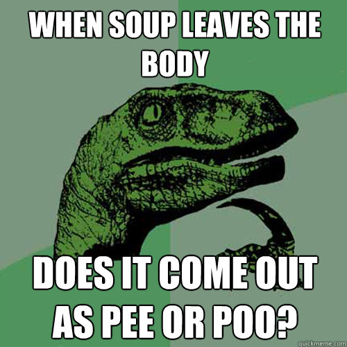 When soup leaves the body  does it come out as pee or poo?  Philosoraptor