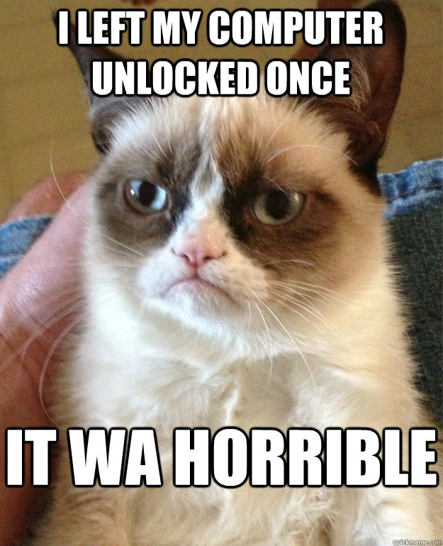 I left my computer unlocked once It wa horrible  Grumpy Cat