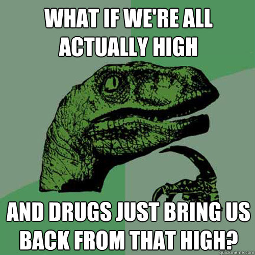 What if we're all actually high and drugs just bring us back from that high? - What if we're all actually high and drugs just bring us back from that high?  Philosoraptor