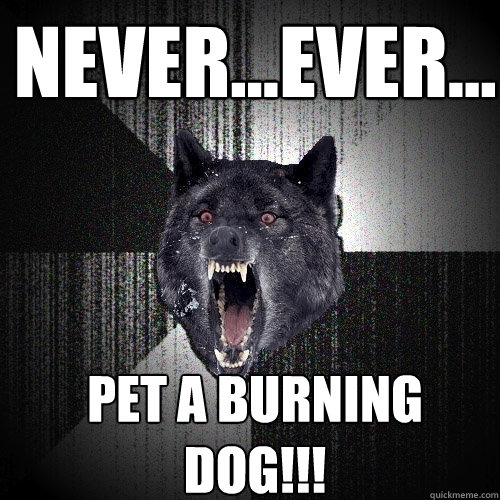 Never...Ever... Pet a burning dog!!! - Insanity Wolf - quickmeme