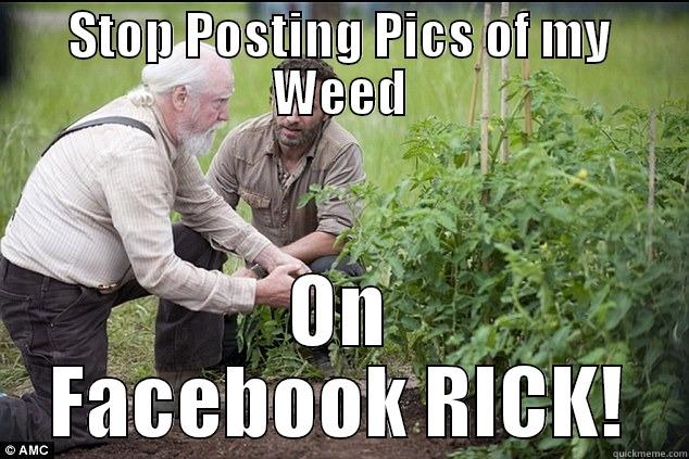 STOP POSTING PICS OF MY WEED ON FACEBOOK RICK! Misc