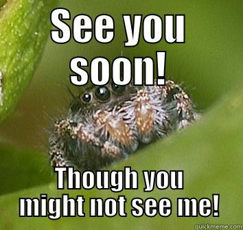 SEE YOU SOON! THOUGH YOU MIGHT NOT SEE ME! Misunderstood Spider