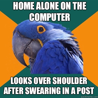 Home alone on the computer Looks over shoulder after swearing in a post - Home alone on the computer Looks over shoulder after swearing in a post  Paranoid Parrot