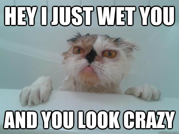 Hey I just wet you And you look crazy  Pissed off ugly cat