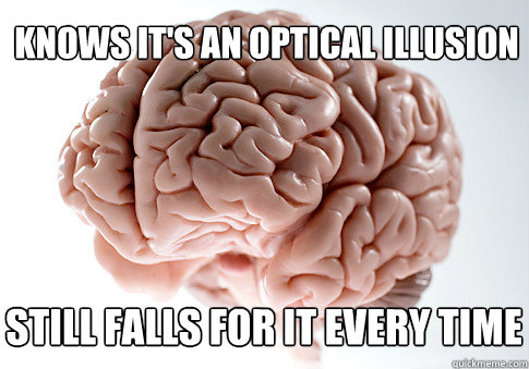 Knows it's an optical illusion still falls for it every time  Scumbag Brain