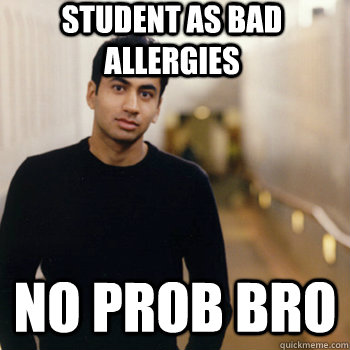 student as bad allergies no prob bro  Straight A Stoner