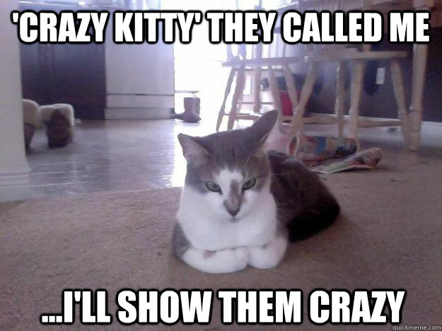 'Crazy kitty' they called me ...I'll show them crazy - 'Crazy kitty' they called me ...I'll show them crazy  Plotting Cat