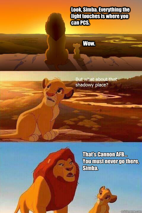 Look, Simba. Everything the light touches is where you can PCS.  Wow. That's Cannon AFB...
You must never go there, Simba.   Lion King Shadowy Place