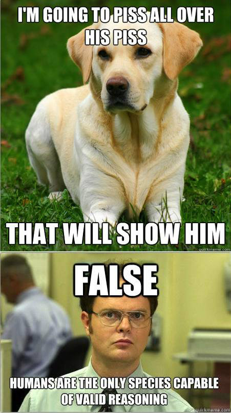    Dog Logic