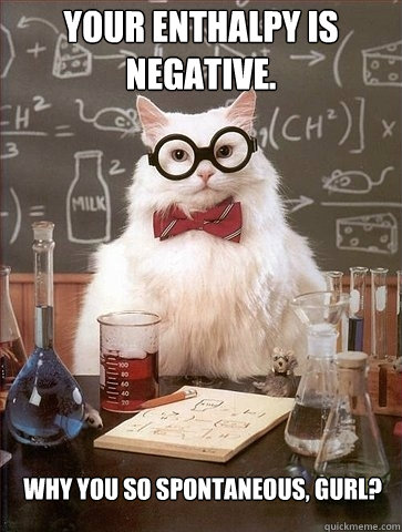 Your Enthalpy is negative. Why you so spontaneous, gurl?  Chemistry Cat