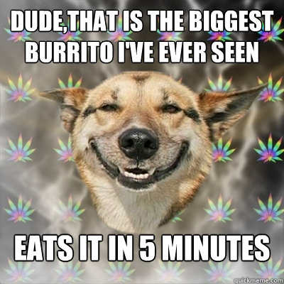 Dude,that is the biggest burrito i've ever seen eats it in 5 minutes  Stoner Dog