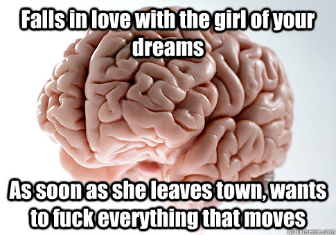 Falls in love with the girl of your dreams As soon as she leaves town, wants to fuck everything that moves   Scumbag Brain