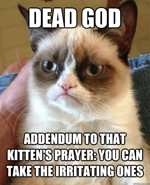 Dead God addendum to that kitten's prayer: You can take the irritating ones  Grumpy Cat