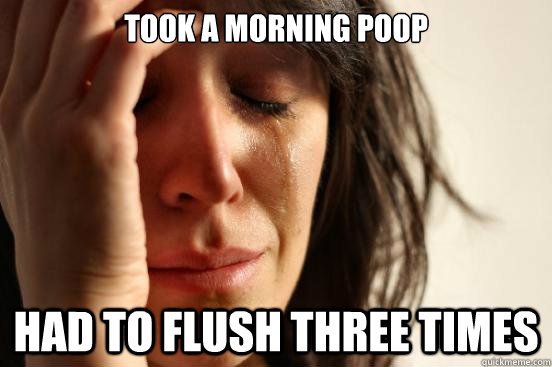 Took a morning poop had to flush three times - Took a morning poop had to flush three times  First World Problems