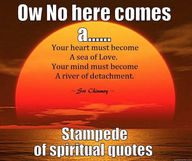 OW NO HERE COMES A...... STAMPEDE OF SPIRITUAL QUOTES  Misc
