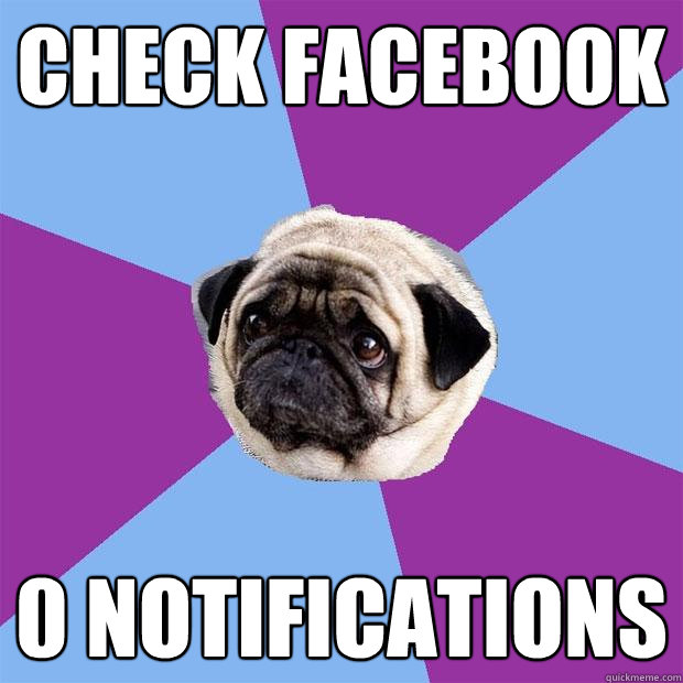 check facebook 0 notifications - check facebook 0 notifications  Lonely Pug