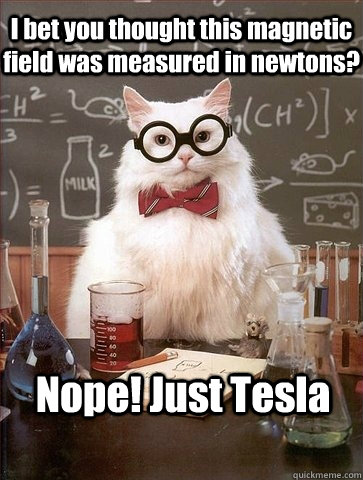 I bet you thought this magnetic field was measured in newtons? Nope! Just Tesla - I bet you thought this magnetic field was measured in newtons? Nope! Just Tesla  Chemistry Cat