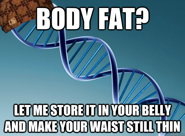 body fat? let me store it in your belly and make your waist still thin  Scumbag Genetics