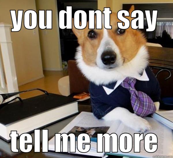 YOU DONT SAY TELL ME MORE Lawyer Dog