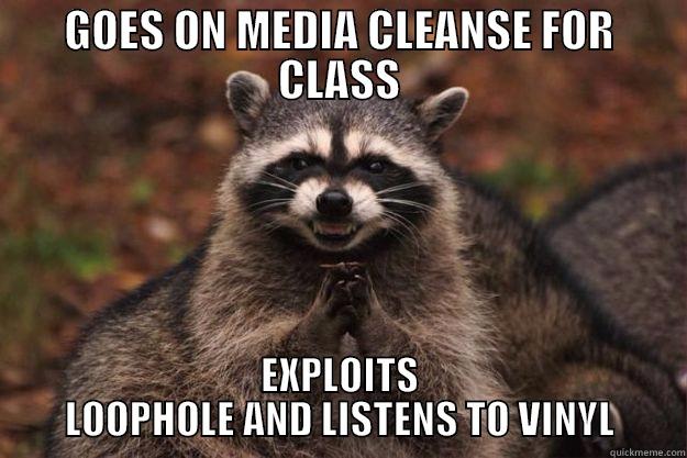 GOES ON MEDIA CLEANSE FOR CLASS EXPLOITS LOOPHOLE AND LISTENS TO VINYL Evil Plotting Raccoon