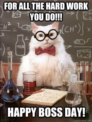 FOR ALL THE HARD WORK YOU DO!!! HAPPY BOSS DAY! - FOR ALL THE HARD WORK YOU DO!!! HAPPY BOSS DAY!  Chemistry Cat