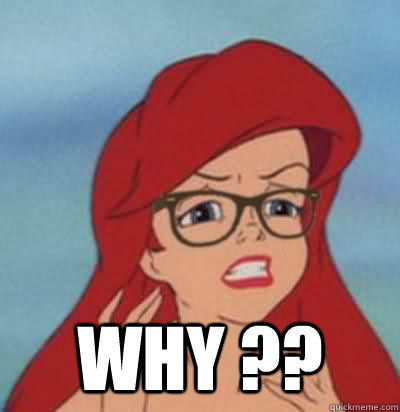 WHY ??  Hipster Ariel