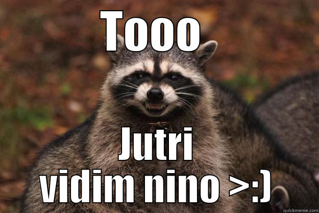 TOOO  JUTRI VIDIM NINO >:) Evil Plotting Raccoon