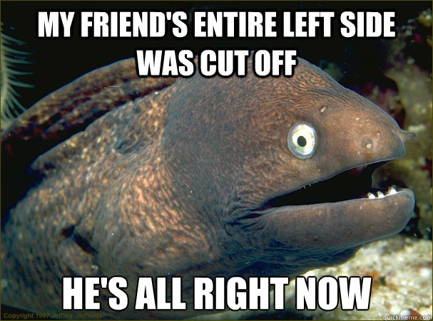 my friend's entire left side was cut off he's all right now - my friend's entire left side was cut off he's all right now  Bad Joke Eel