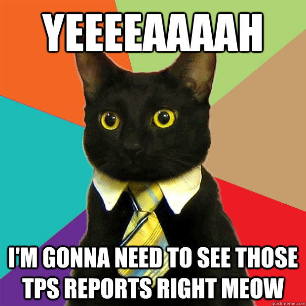 Yeeeeaaaah I'm gonna need to see those TPS reports right meow  Business Cat