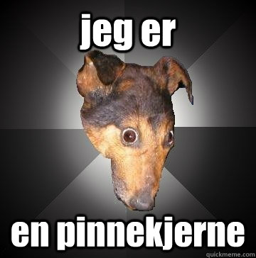 jeg er en pinnekjerne  Depression Dog