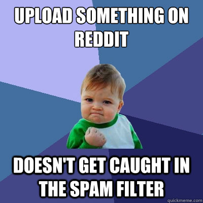 Upload something on Reddit Doesn't get caught in the spam filter  Success Kid