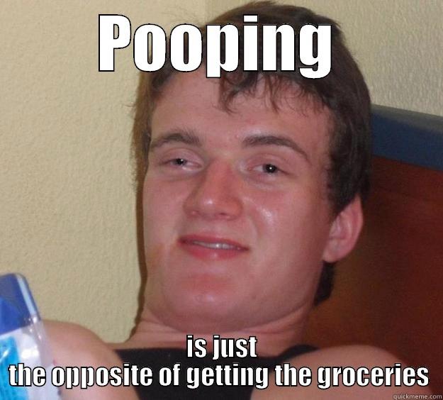 Girlfriend dropped this on me - POOPING  IS JUST THE OPPOSITE OF GETTING THE GROCERIES 10 Guy