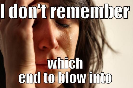 Remember This - I DON'T REMEMBER  WHICH END TO BLOW INTO First World Problems